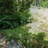 DOMOVDÁRKYDEKORACE.CZ