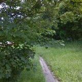 PEDIKÚRA-KADEŘNICE