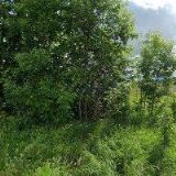 HAVRAN ZÁMEČNICTVÍ