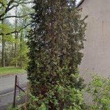 TETUROVÁ LENKA Mgr.