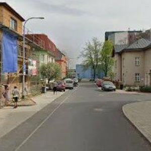 obrazek: avatar ZÝKA ZDENĚK MUDr.