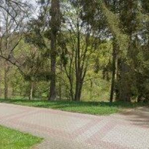 obrazek: avatar SKURKOVÁ IVANA