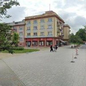 obrazek: avatar NIKOLA PLESKOTOVÁ