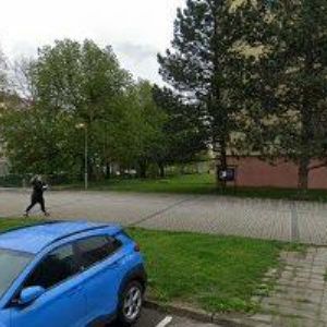 obrazek: avatar KATEŘINA KYSELOVÁ