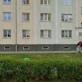 ŠTĚPÁNKA DOLEJŠOVÁ