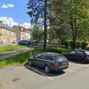 obrazek: avatar NIKOLA NIEMSOVÁ