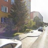 KATEŘINA PETRIKOVÁ