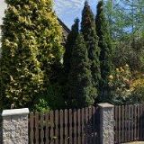 KRISTÝNA JIŘÍKOVÁ