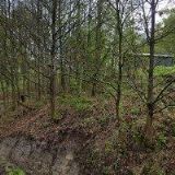 MGR. ŠÁRKA ROVENSKÁ BROŠOVÁ