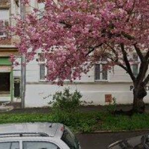 obrazek: avatar SPOLEČENSTVÍ VLASTNÍKŮ JEDNOTEK WOLKEROVA 1, KARLOVY VARY