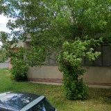 MGR. ET MGR. LUCIE PRAŽÁKOVÁ