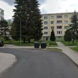 RENATA GOTTFRIEDOVÁ