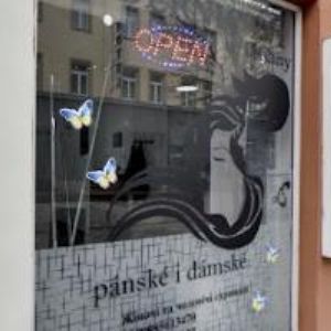 obrazek: avatar SPOLEČENSTVÍ VLASTNÍKŮ SVOBODY 29 CHEB
