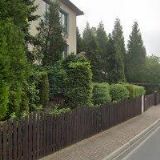 BC. ADÉLA WERNEROVÁ