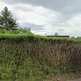 MIROSLAVA KOLÍNOVÁ