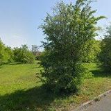 ING. HANA HEYDUKOVÁ