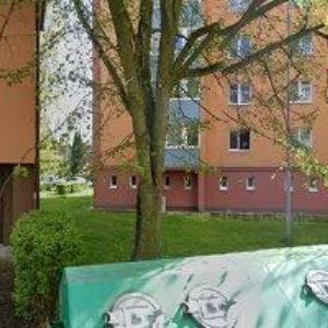 obrazek: avatar MARTIN ŠTECHER
