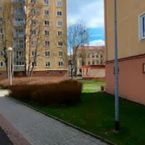 obrazek: avatar ŠÁRKA KOIŠOVÁ