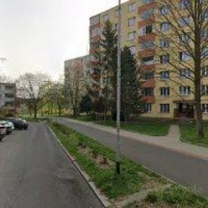 obrazek: avatar SÁRA ČERNÁ