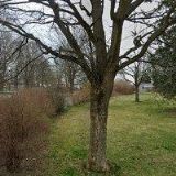 SPOLEČENSTVÍ VLASTNÍKŮ JEDNOTEK PRO DŮM SÍDLIŠTĚ 417-418 TOUŽIM