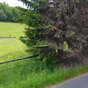 obrazek: avatar KADAKCZ