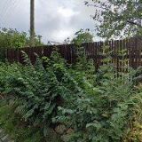 DROBÍLKOVÁ VERONIKA