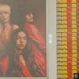 MODRÁ HVĚZDA ŽIVOTA - ZÁCHRANNÁ VODNÍ STANICE POTÁPĚČŮ KARLOVY VARY P.S.