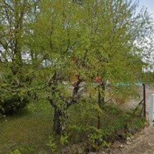 obrazek: avatar Z U P E R O,