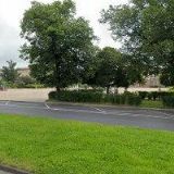 LENKA KRAUSOVÁ, DIS.