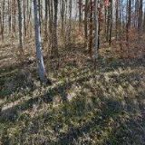 SOŇA RADAKOVIČOVÁ