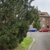 MGR. JANA MAKOVCOVÁ