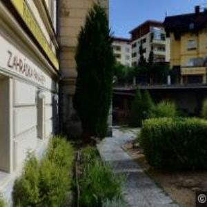 obrazek: avatar CHANCE PLUS