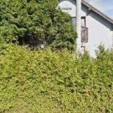 AUTO EDER - MANIPULAČNÍ TECHNIKA