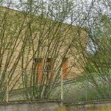 SPOLEK MATEŘSKÁ ŠKOLA VILOVÁ