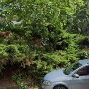 obrazek: avatar M.E.G CHARITY NADAČNÍ FOND