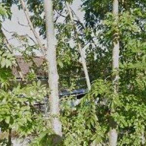 obrazek: avatar KERS s.r.o.