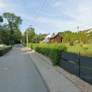 obrazek: avatar PALDREVO