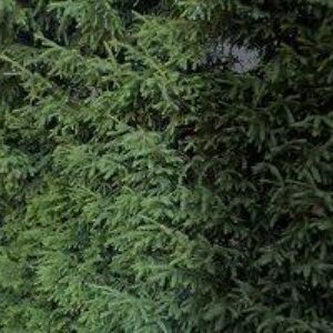 obrazek: avatar KIMTEX s.r.o.