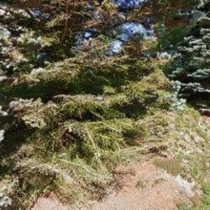 obrazek: avatar OBEC Javornice