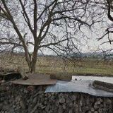 OVOCNÁŘSTVÍ-ČEPELA JOSEF Ing.