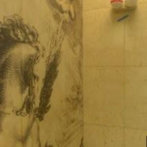 obrazek: avatar HANKŮV DŮM-MĚSTSKÉ KULTURNÍ ZAŘÍZENÍ DVŮR KRÁLOVÉ NAD LABEM