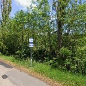 obrazek: avatar OAO GOMSELMAŠ