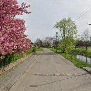 obrazek: avatar ZŠ České Meziříčí