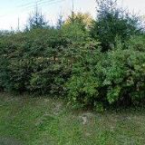 ZŠ A MŠ Slatina nad Zdobnicí