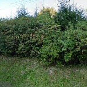 obrazek: avatar ZŠ A MŠ Slatina nad Zdobnicí