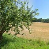 PILA A STŘECHY ZUBR