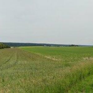 obrazek: avatar META