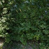 BARVY-DOUBAL, KORPORE TECHNIK spol. s r.o.