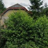 ZAJÍC JAROSLAV-ZEDNICTVÍ