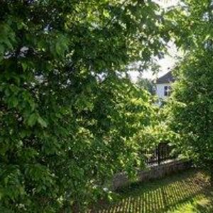 obrazek: avatar PROTECT VLACH s.r.o.